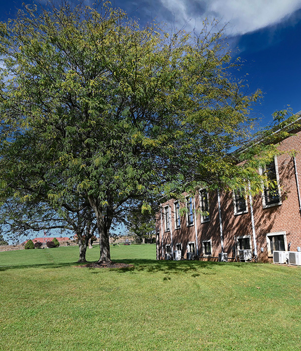 best nursing home in chambersburg pa