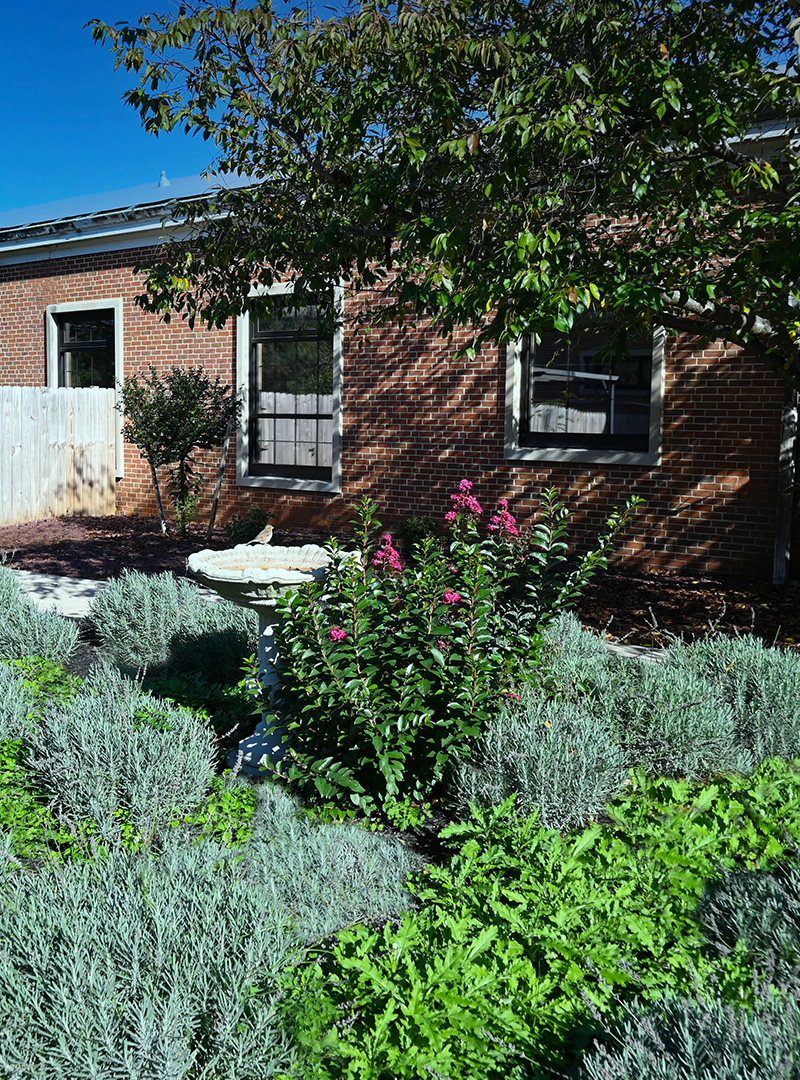 Resident Care Hamilton Arms Nursing